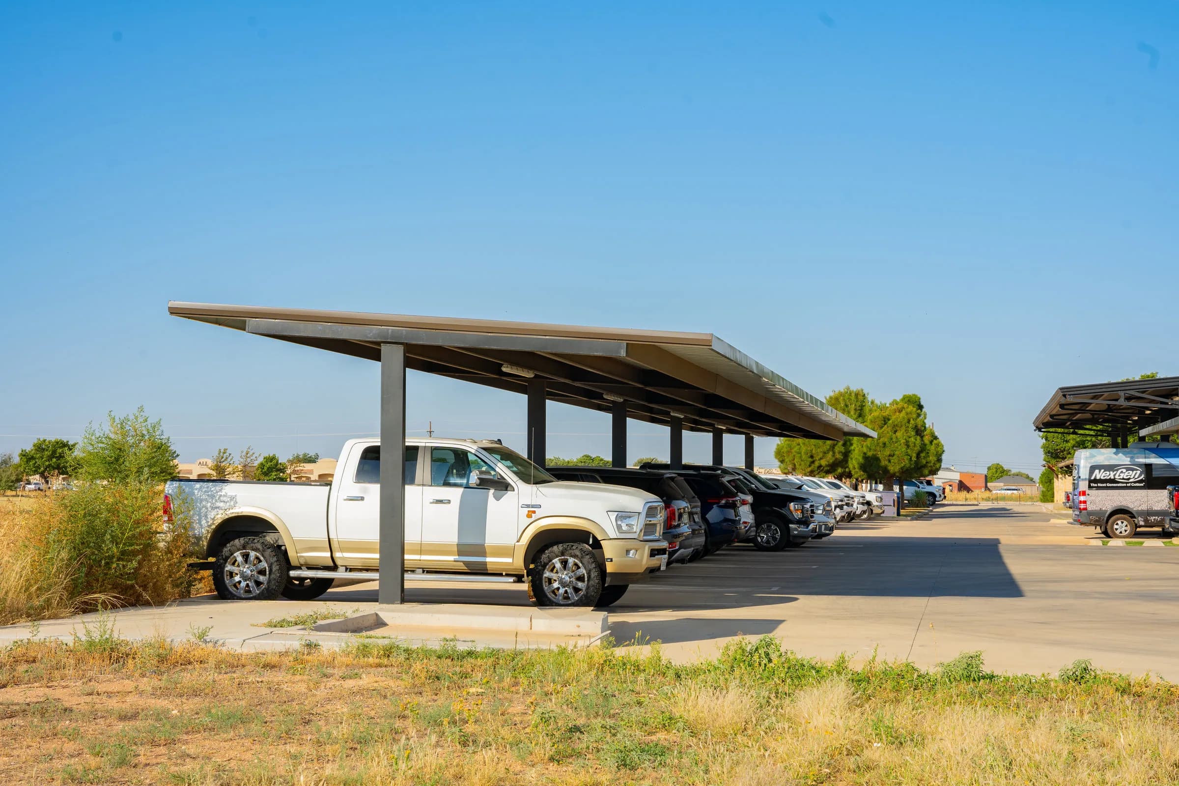 Real Steel Canopies project